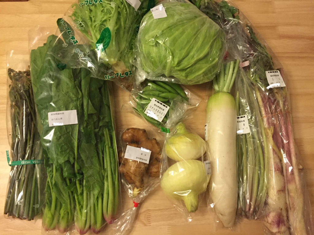 高知県越知町から野菜が届いた 奈半利町ではありません がっちり主婦 マイルをためる 高知県越知町から野菜が届いた 奈半利町ではありません がっちり主婦 マイルをためる