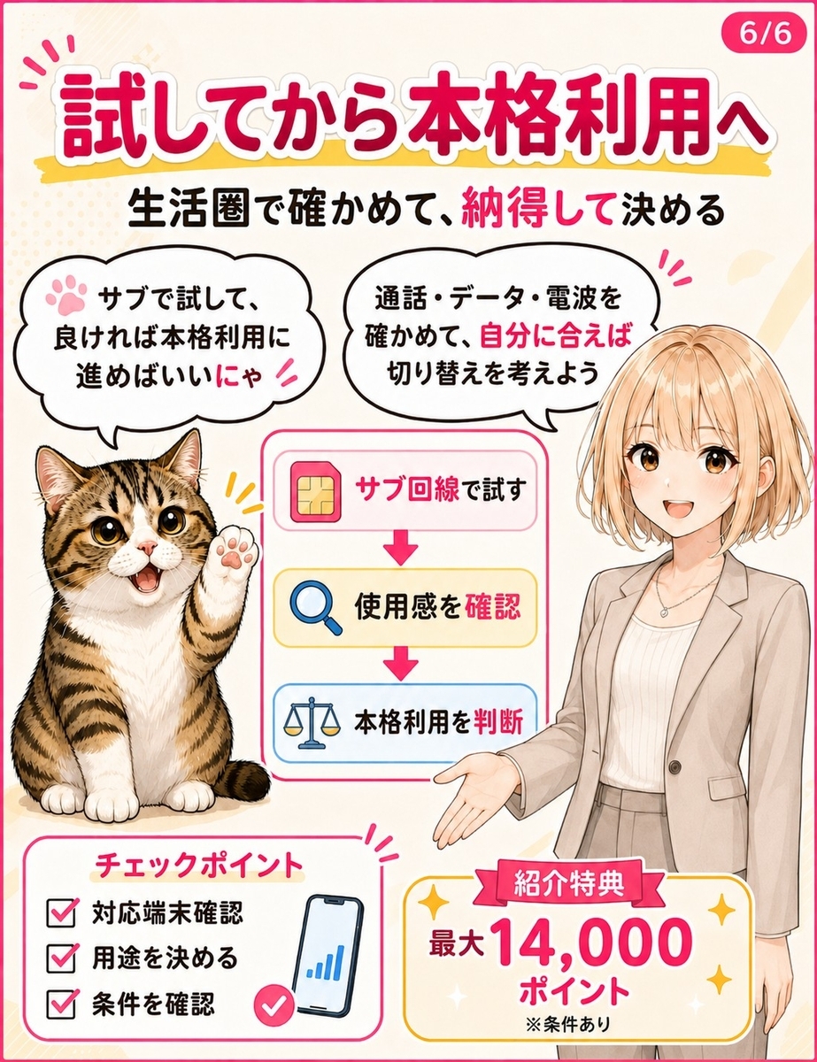 サブ回線で試してから本格利用を判断する流れと、申し込み前チェック項目をまとめた締めの漫画解説画像。