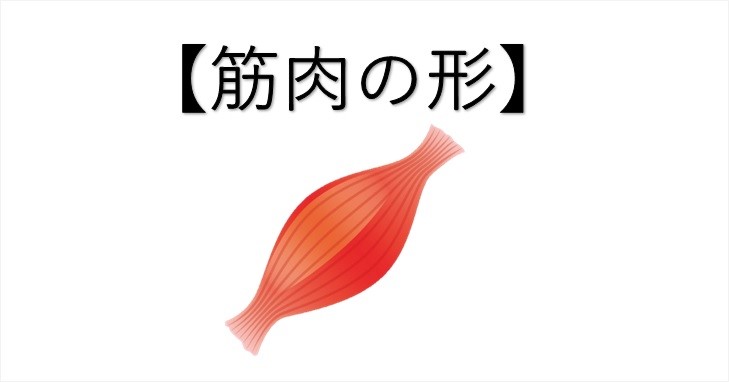 f:id:tabatashimauma:20200512140428j:plain f:id:tabatashimauma:20200512140428j:plain