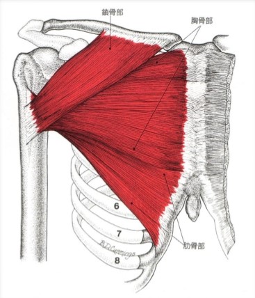 f:id:tabatashimauma:20200517115715j:plain f:id:tabatashimauma:20200517115715j:plain