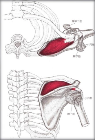 f:id:tabatashimauma:20200518115047j:plain f:id:tabatashimauma:20200518115047j:plain