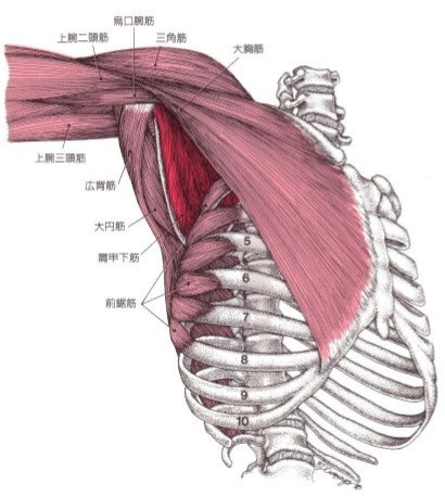 f:id:tabatashimauma:20200522182412j:plain f:id:tabatashimauma:20200522182412j:plain