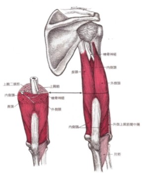 f:id:tabatashimauma:20200526084722j:plain f:id:tabatashimauma:20200526084722j:plain
