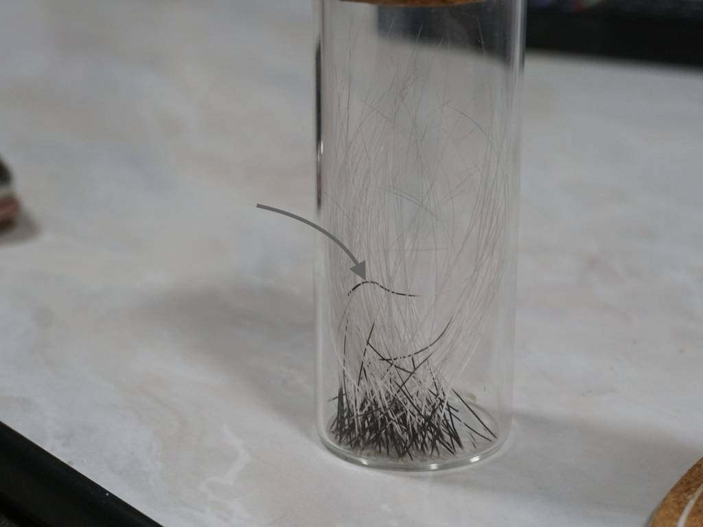 f:id:tabby0223:20210713231036j:plain