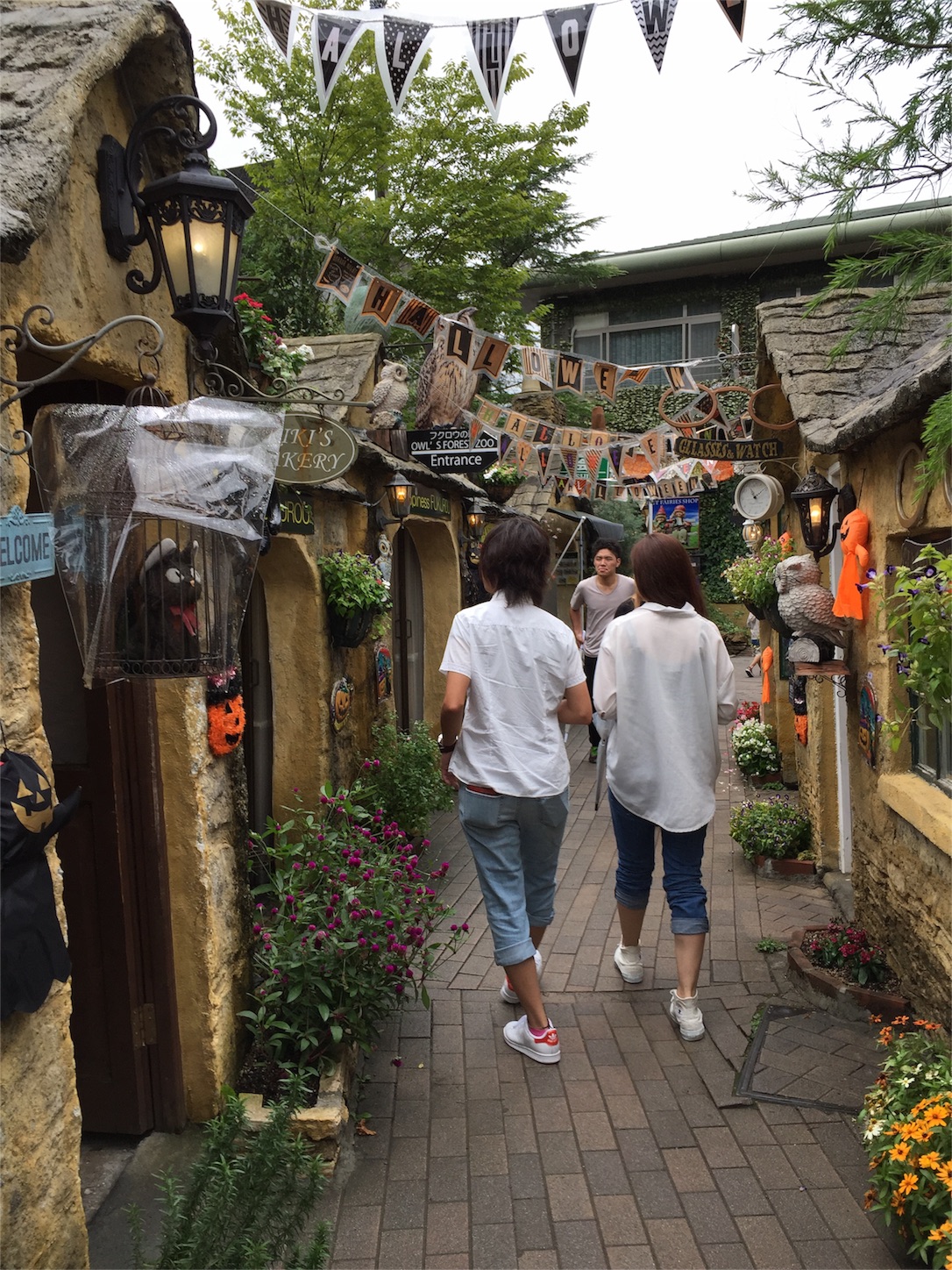 f:id:tabby2016:20160916124517j:image