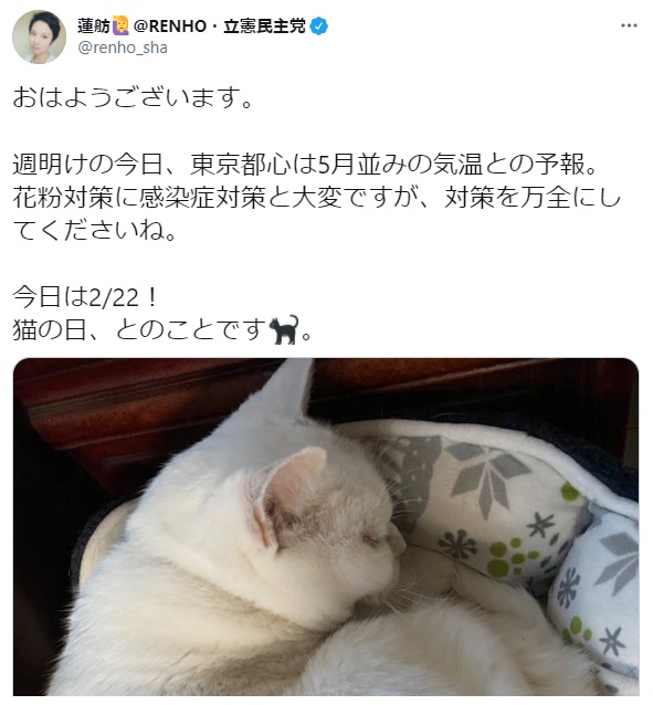 f:id:tabby3:20210222221754j:plain