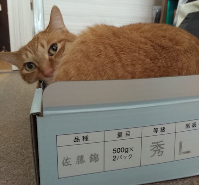 f:id:tabbyandmarble:20170620083256p:plain f:id:tabbyandmarble:20170620083256p:plain