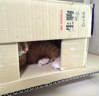 f:id:tabbyandmarble:20170707084422p:plain f:id:tabbyandmarble:20170707084422p:plain