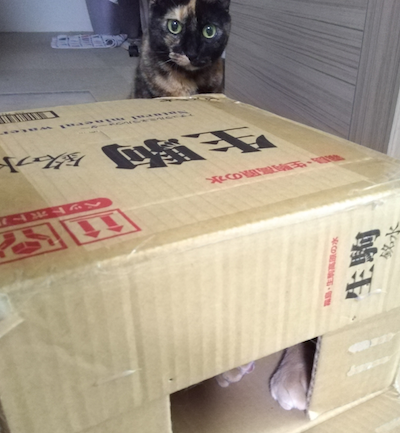 f:id:tabbyandmarble:20170707084504p:plain f:id:tabbyandmarble:20170707084504p:plain