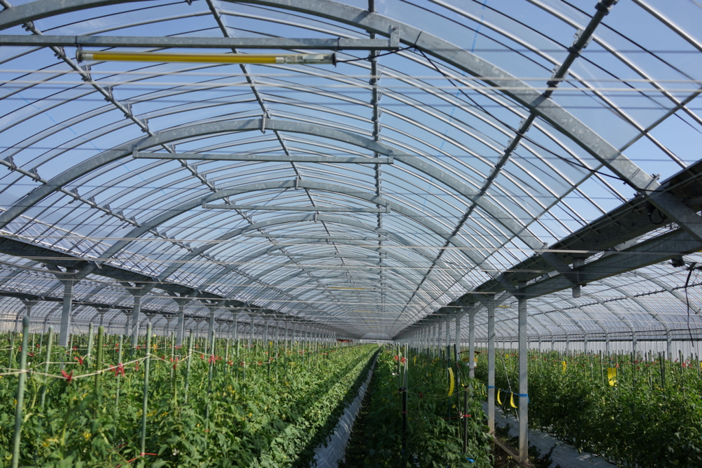 f:id:tabearukist:20151017231715j:plain