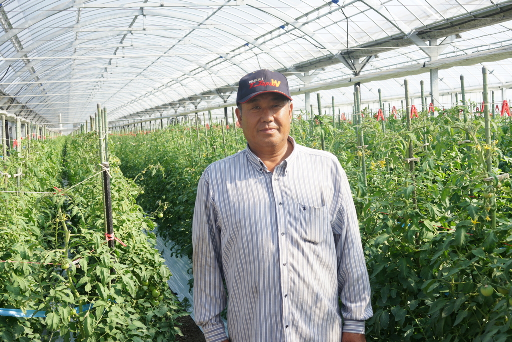 f:id:tabearukist:20151017234334j:plain