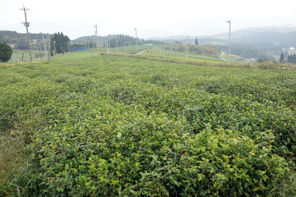 f:id:tabearukist:20151028234420j:plain