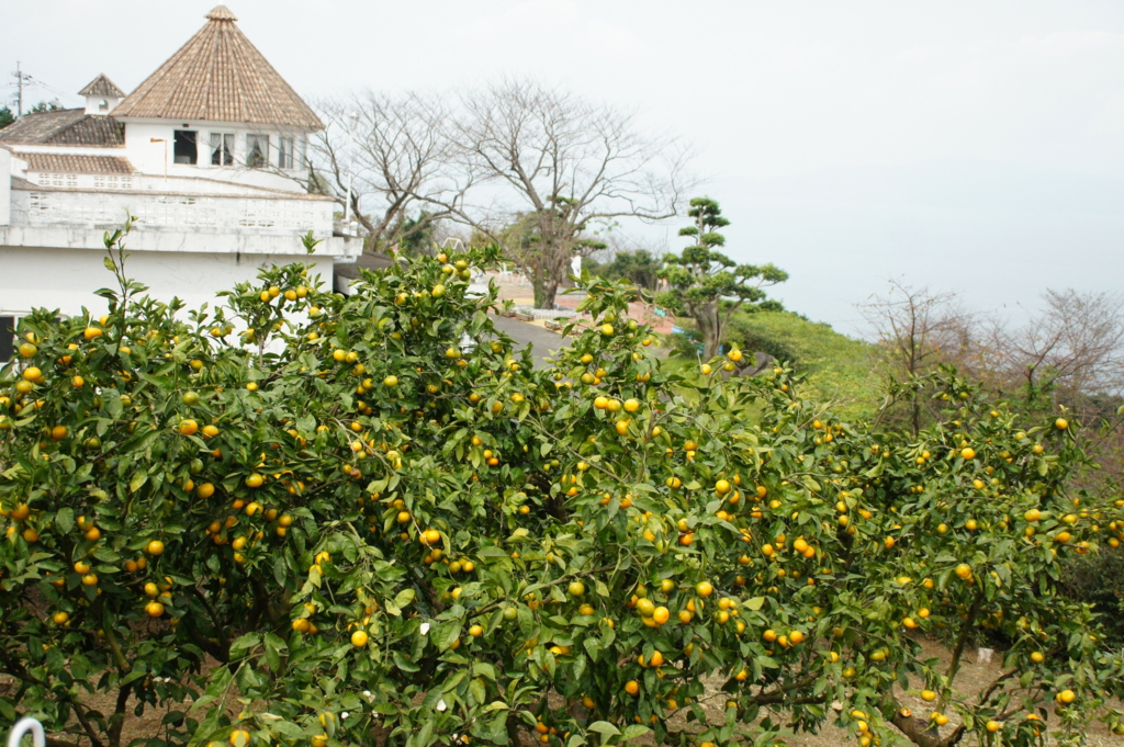 f:id:tabearukist:20151030001837j:plain