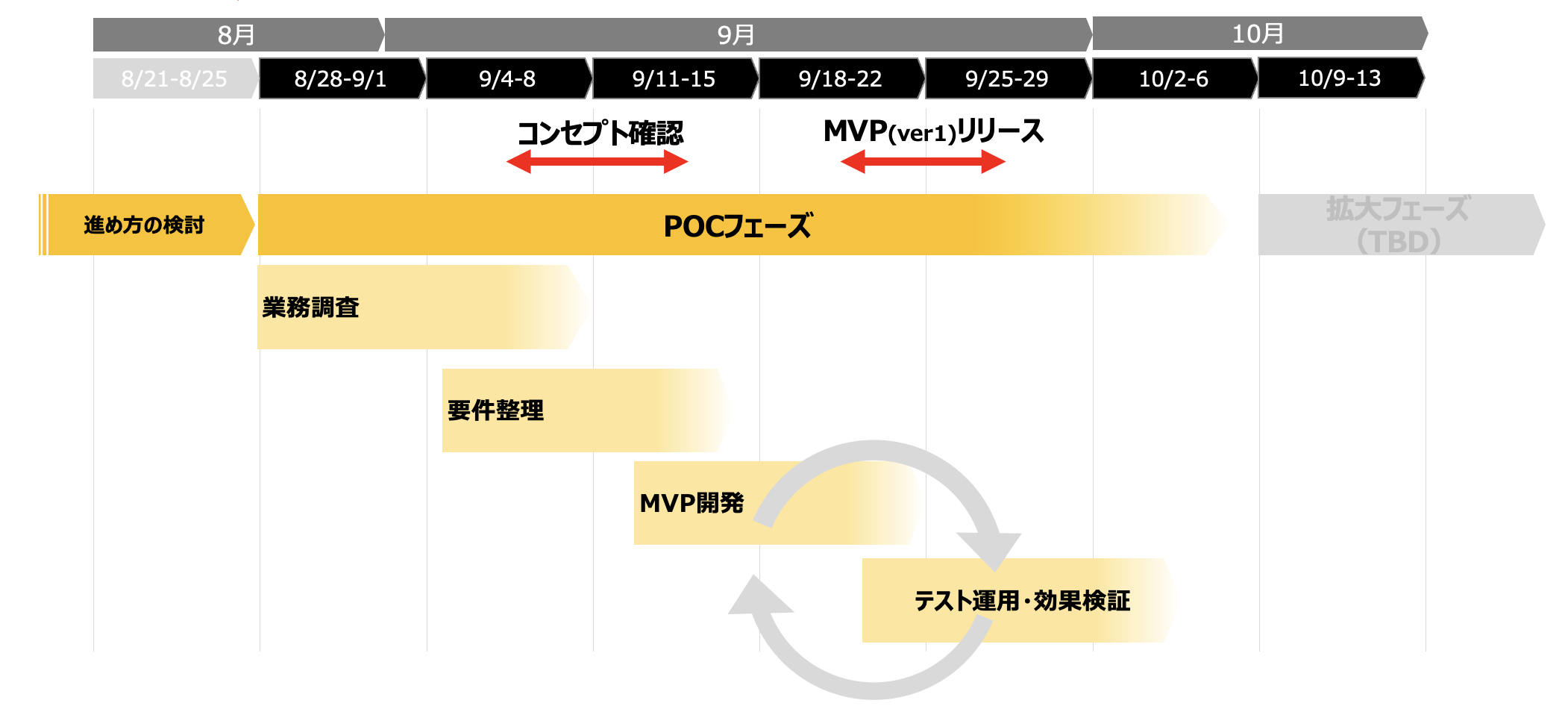プロジェクト推進スケジュール