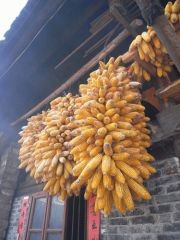 f:id:tabeo:20080425173348j:image f:id:tabeo:20080425173348j:image