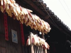 f:id:tabeo:20080425173441j:image f:id:tabeo:20080425173441j:image