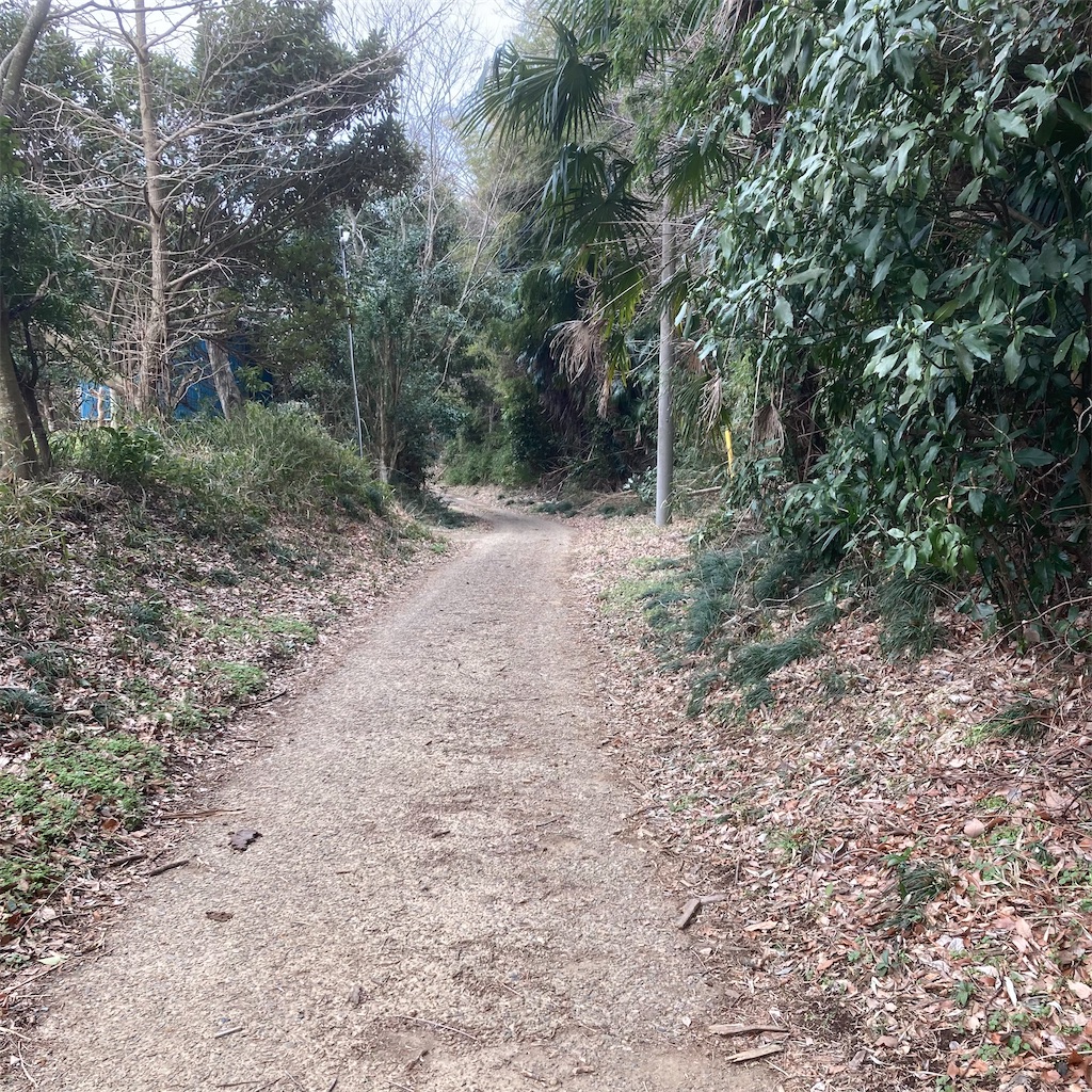f:id:taberukai:20250308203737j:image