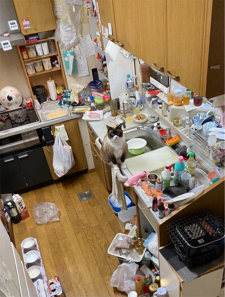 f:id:taberukai:20250818232413j:image