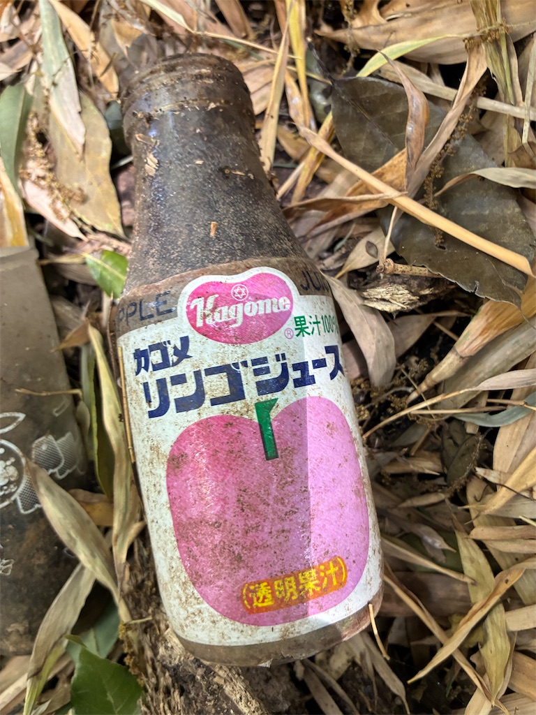 f:id:taberukai:20260510211457j:image