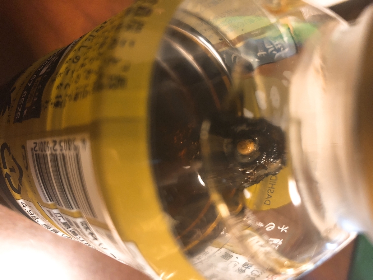 f:id:taberumegane:20190930211942j:plain f:id:taberumegane:20190930211942j:plain