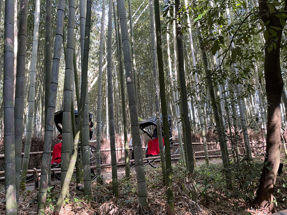 f:id:taberumegane:20201119192911j:plain