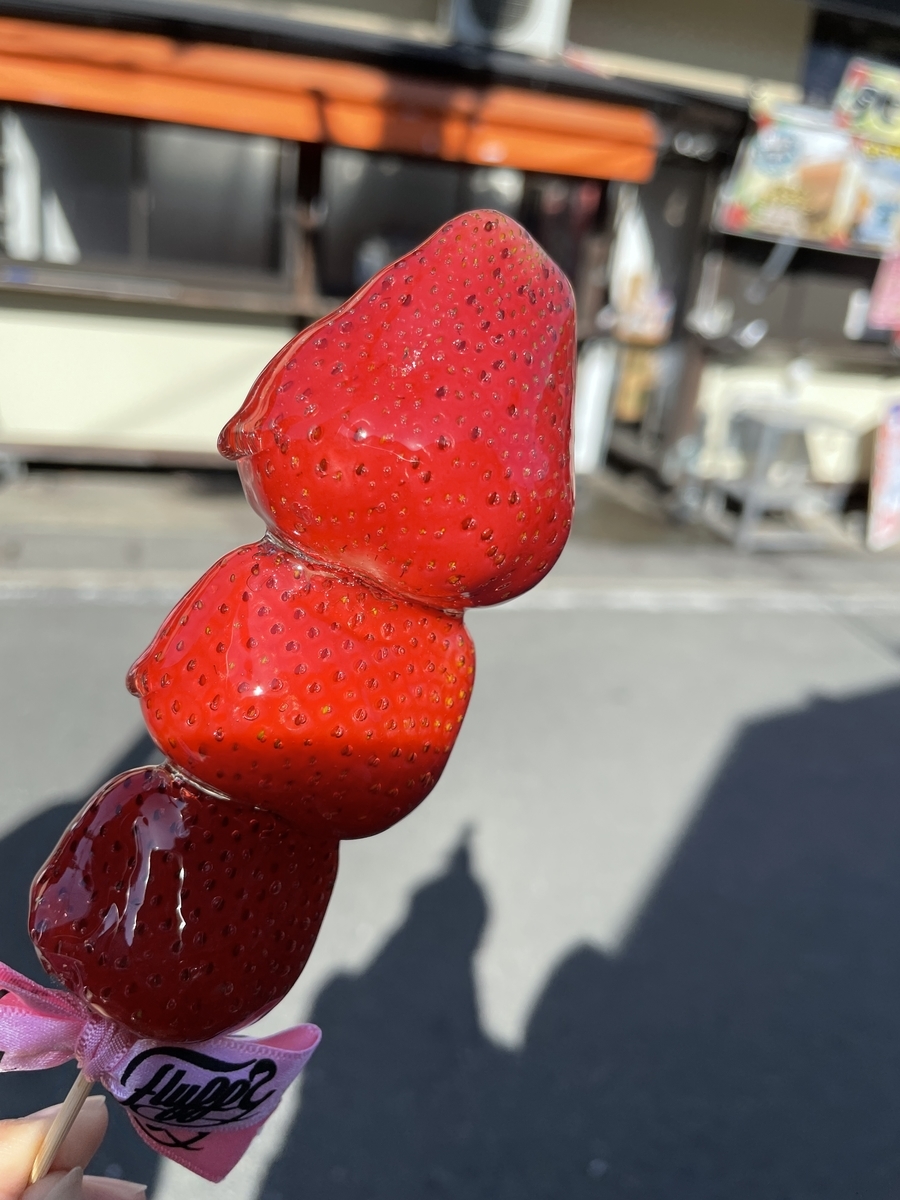 f:id:taberumegane:20201119193434j:plain