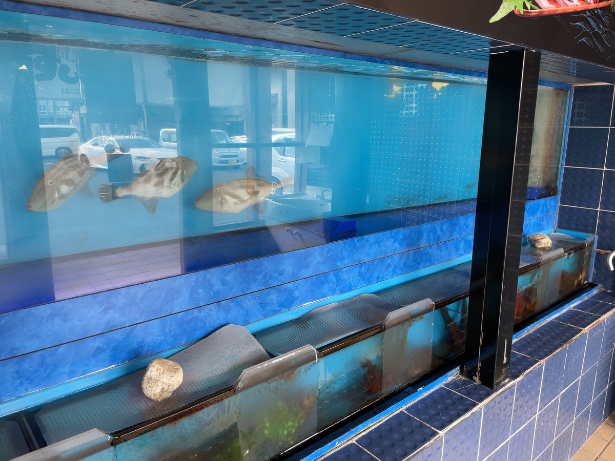 f:id:taberumegane:20210104194217j:plain