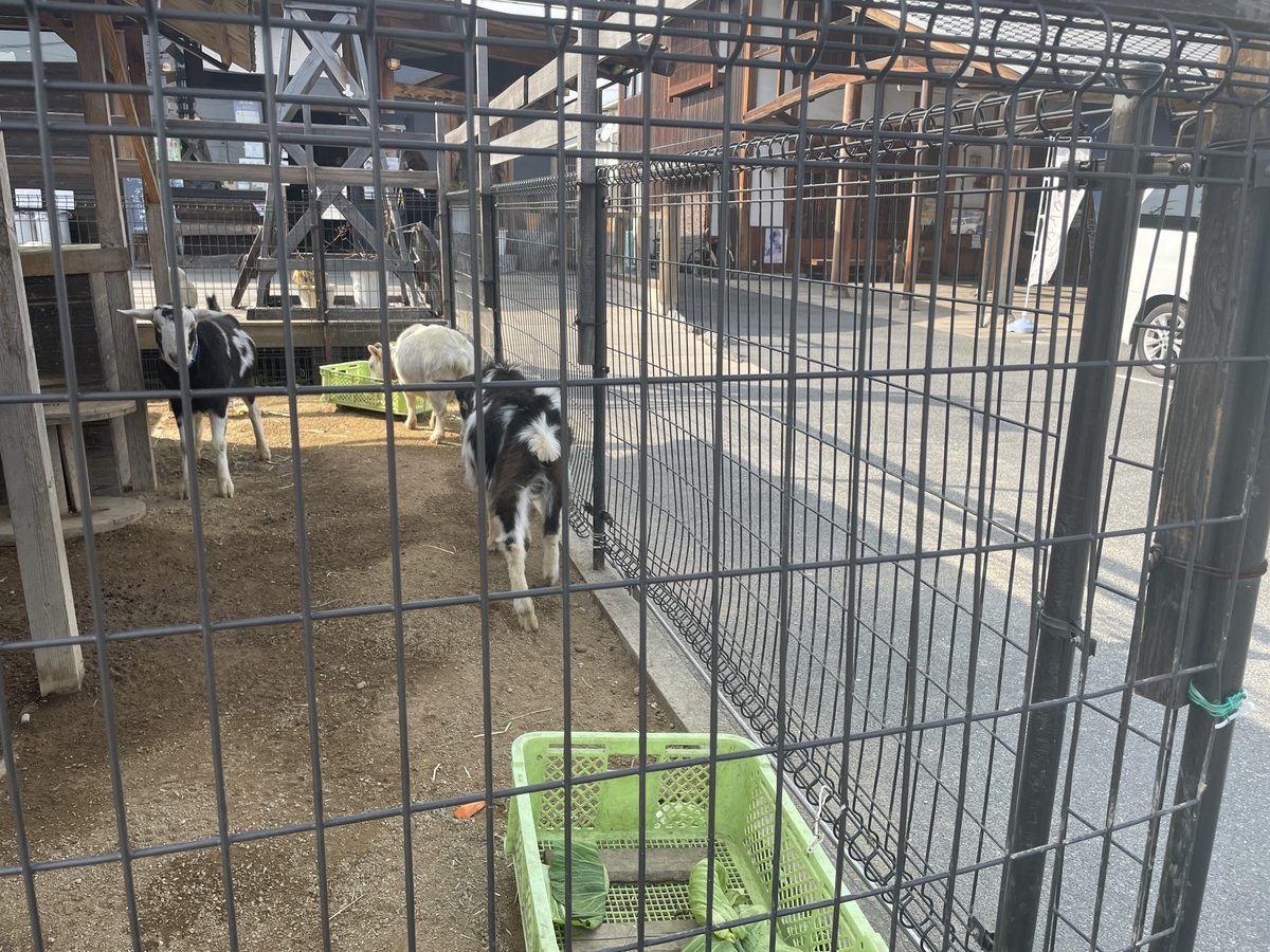 f:id:taberumegane:20210211171424j:plain