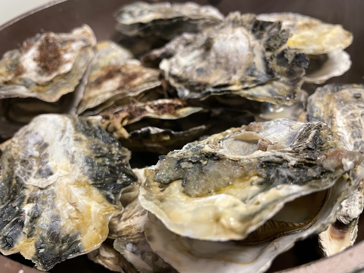 f:id:taberumegane:20210213184203j:plain