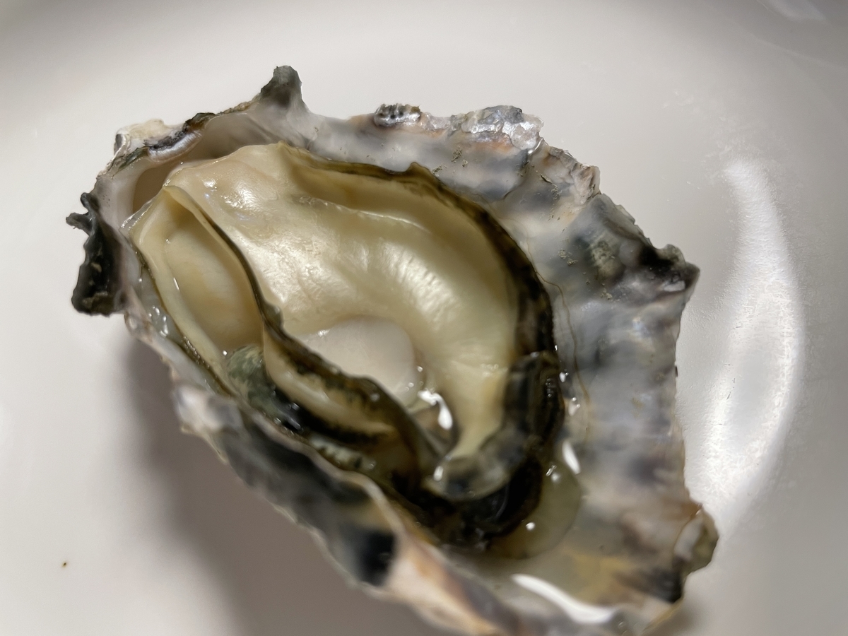 f:id:taberumegane:20210213184256j:plain