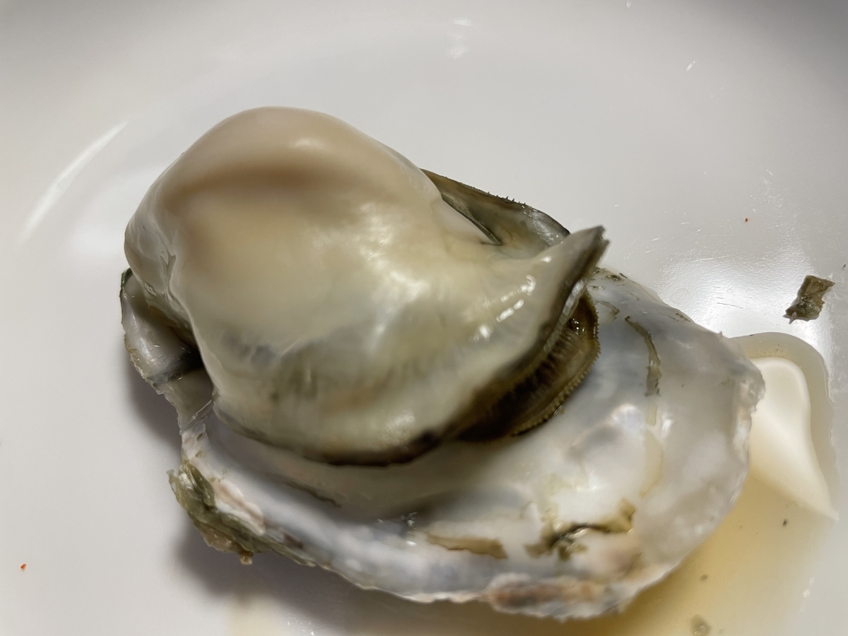 f:id:taberumegane:20210213184425j:plain