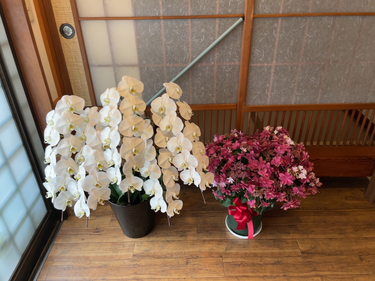 f:id:taberumegane:20210522205644j:plain