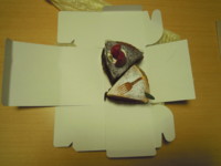 f:id:taberunodaisuki:20110331220325j:image