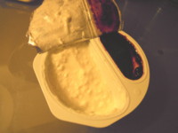 f:id:taberunodaisuki:20120812172204j:image