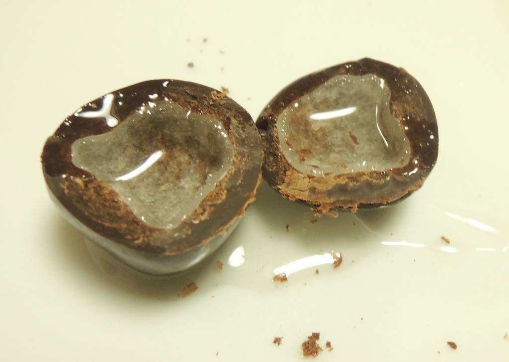 f:id:taberunodaisuki:20181201132158j:plain f:id:taberunodaisuki:20181201132158j:plain