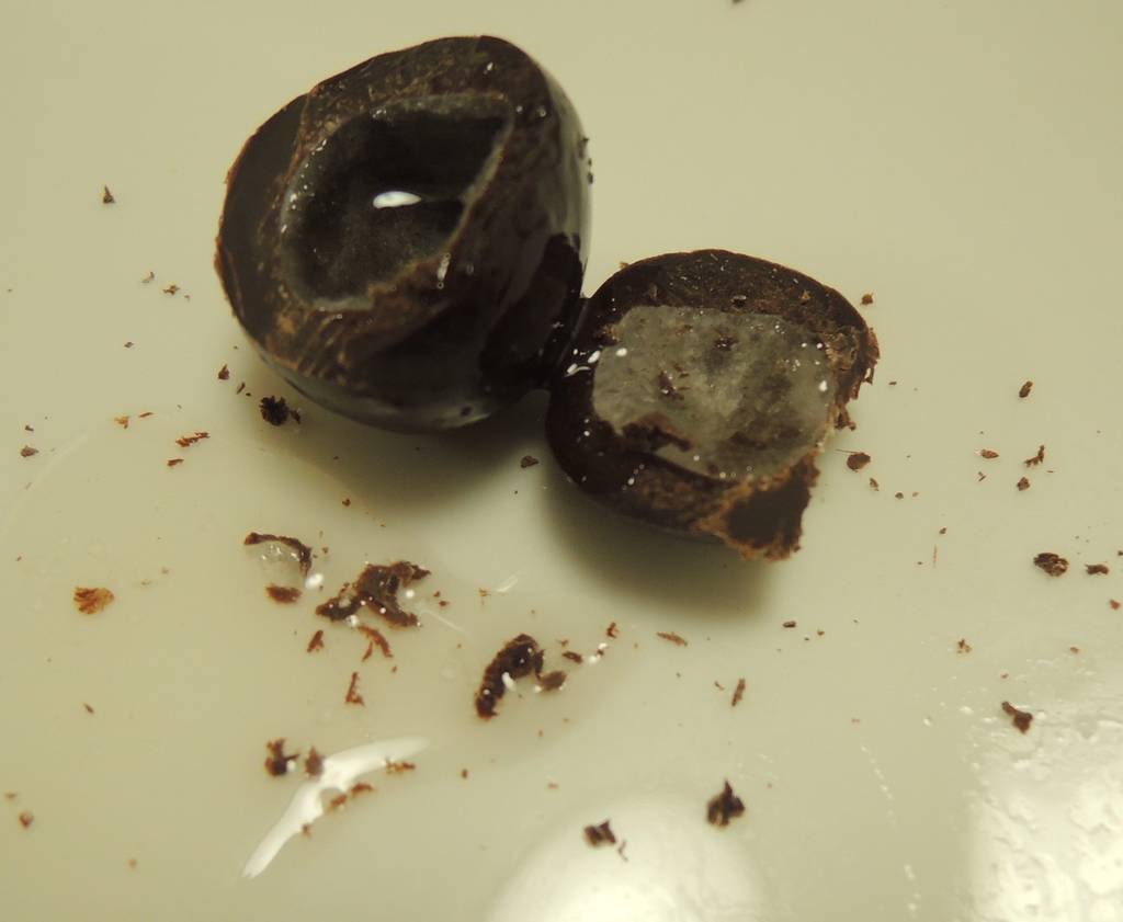 f:id:taberunodaisuki:20181204172510j:plain f:id:taberunodaisuki:20181204172510j:plain