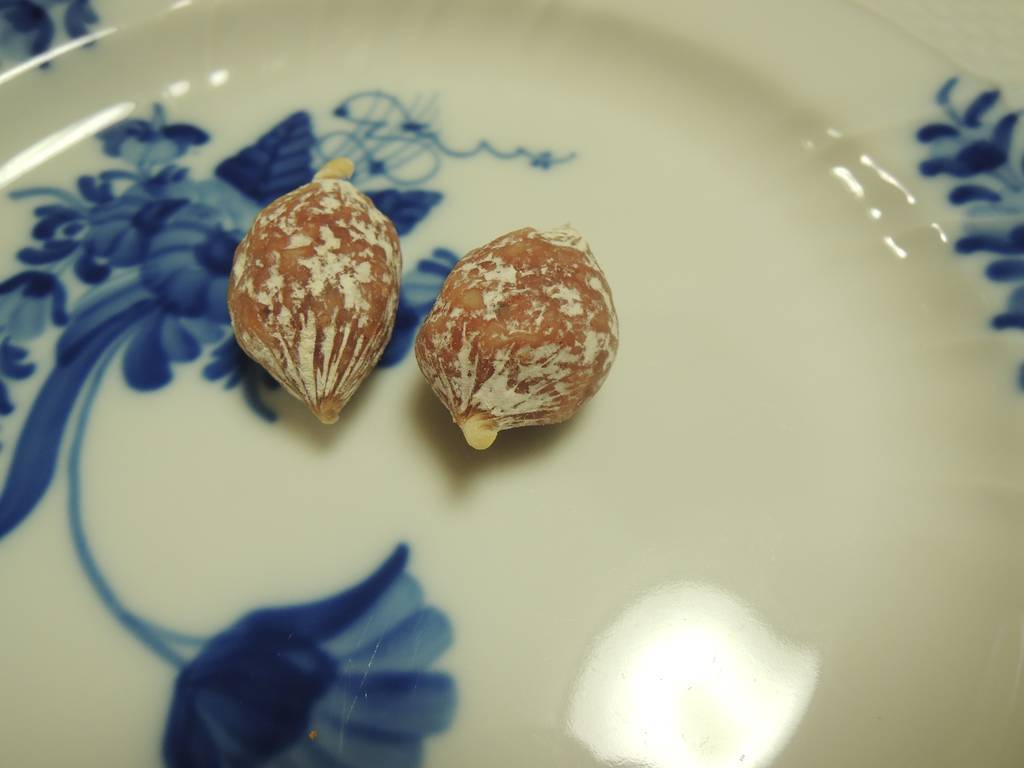 f:id:taberunodaisuki:20190126191935j:plain f:id:taberunodaisuki:20190126191935j:plain