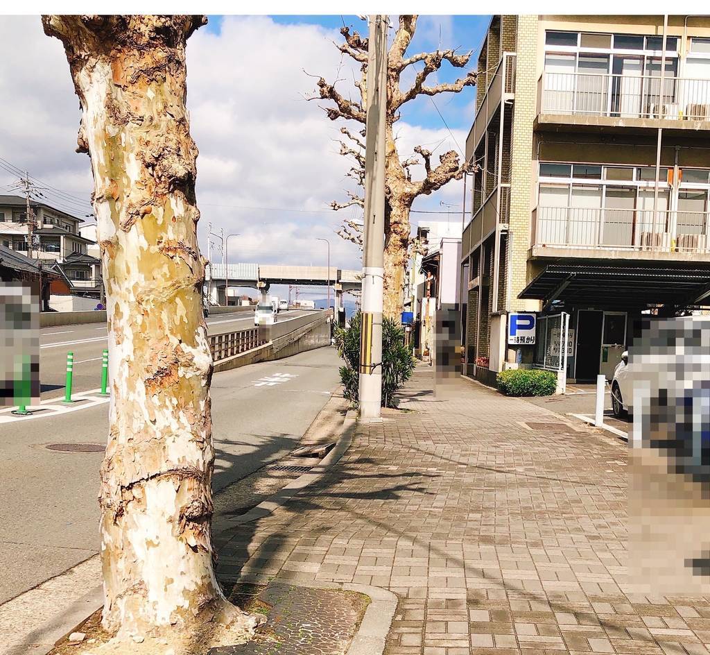 f:id:taberunodaisuki:20190305123055j:plain f:id:taberunodaisuki:20190305123055j:plain