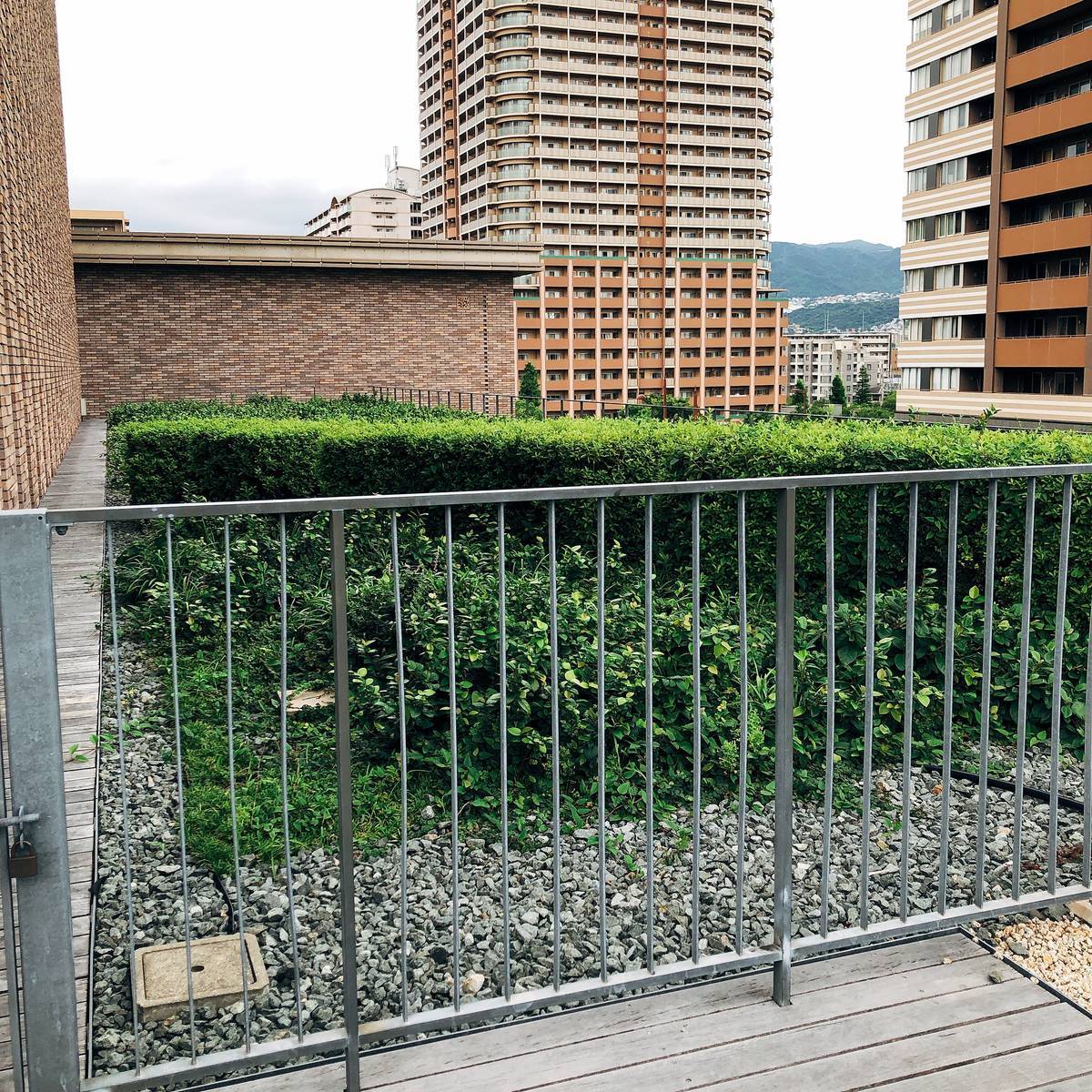 f:id:taberunodaisuki:20190815144653j:plain f:id:taberunodaisuki:20190815144653j:plain
