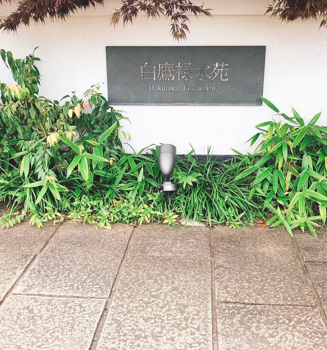 f:id:taberunodaisuki:20190818170324j:plain f:id:taberunodaisuki:20190818170324j:plain