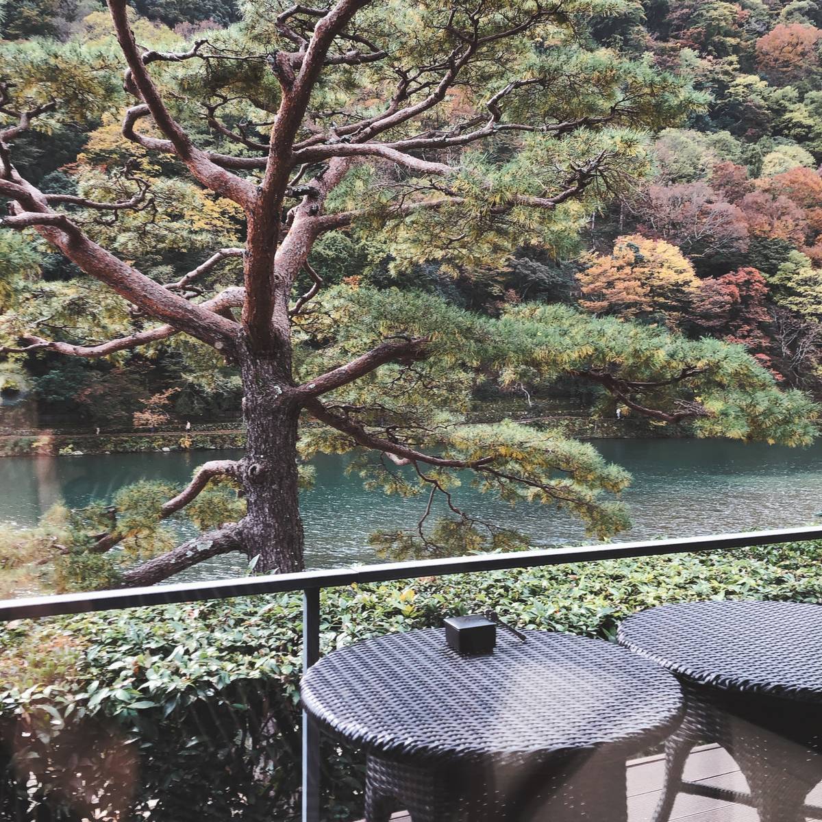 f:id:taberunodaisuki:20191228214115j:plain f:id:taberunodaisuki:20191228214115j:plain