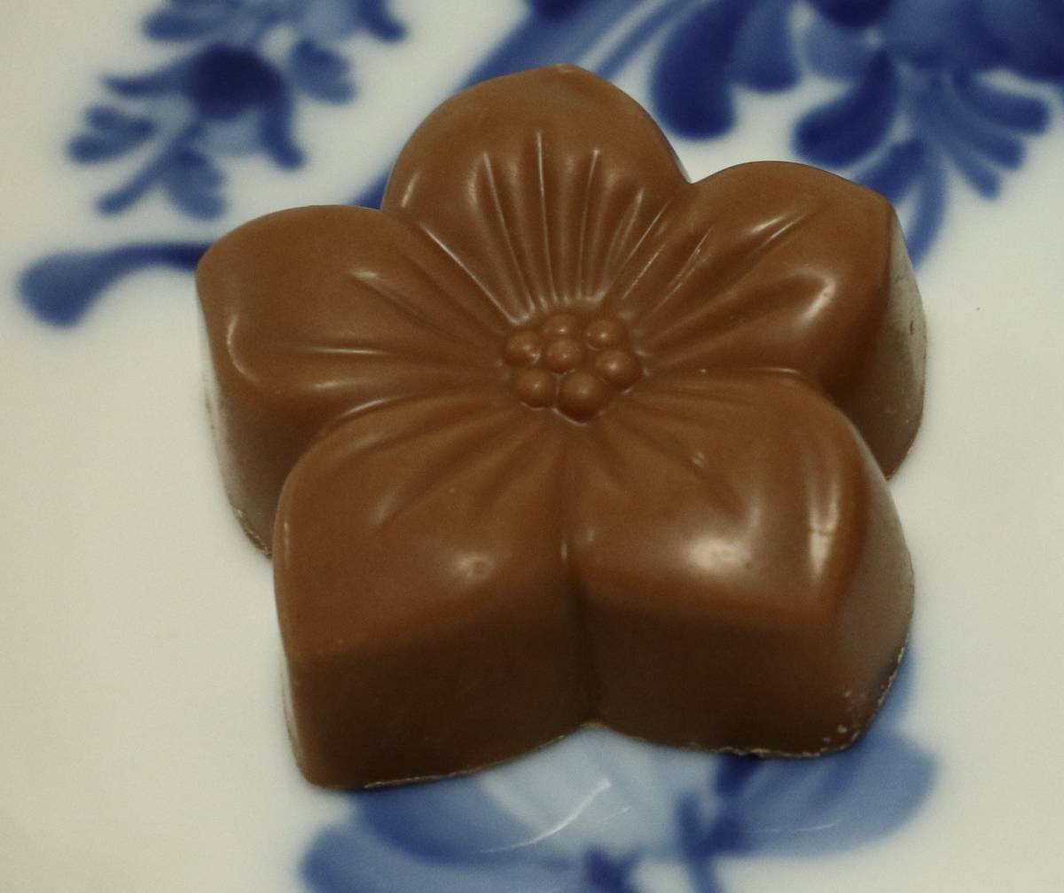 f:id:taberunodaisuki:20220112200125j:plain