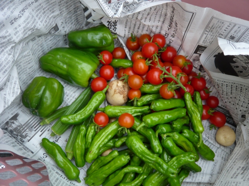 f:id:taberunogakko:20120805014002j:image:w450 f:id:taberunogakko:20120805014002j:image:w450