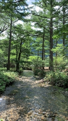 f:id:tabi-baro:20210811122653j:plain