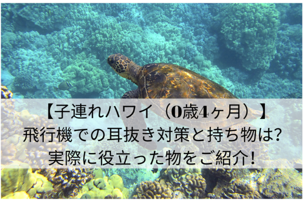 子連れハワイ 0歳4ヶ月 飛行機での耳抜き対策と持ち物は 実際に役立った物をご紹介 たびバロ
