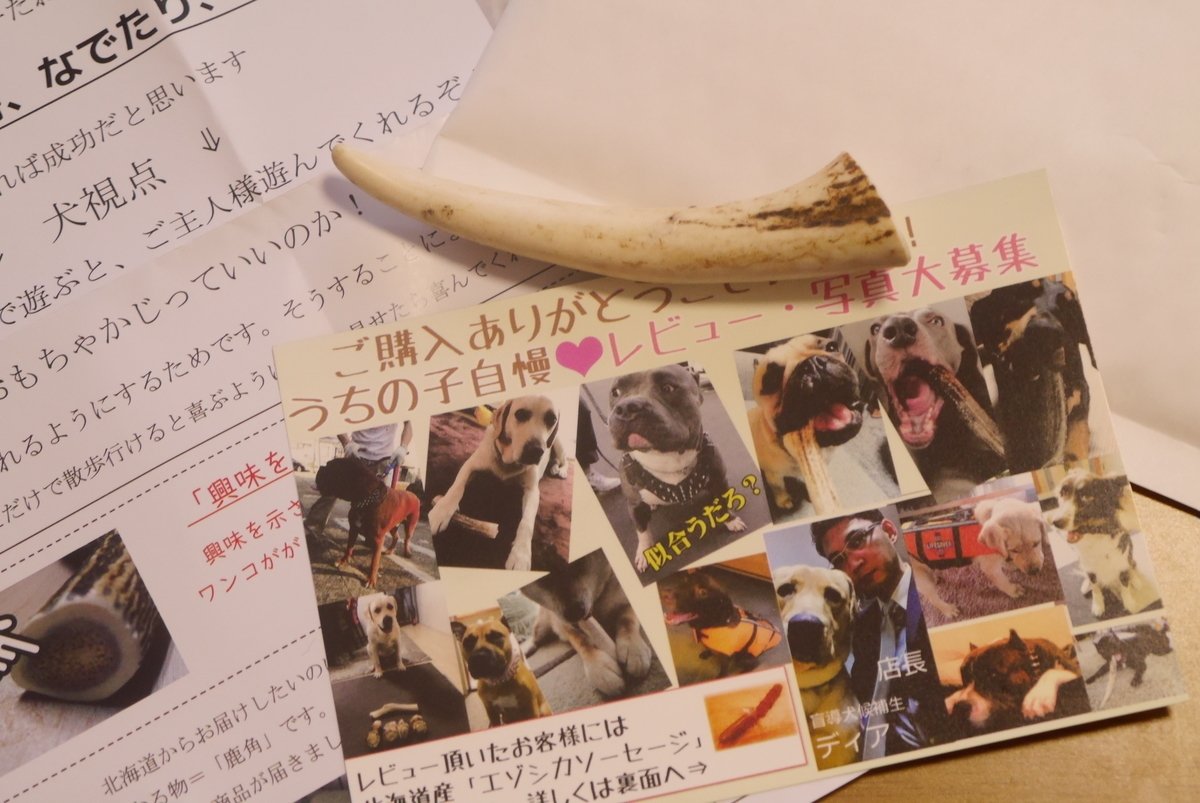 鹿の角に大はしゃぎ 購入レビュー イチカワクリーニング あすれん 多頭飼い主の犬ブログ 時々 西武ライオンズ たまにレビュー
