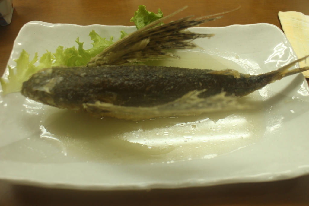 f:id:tabi-kurage:20160827164808j:plain f:id:tabi-kurage:20160827164808j:plain