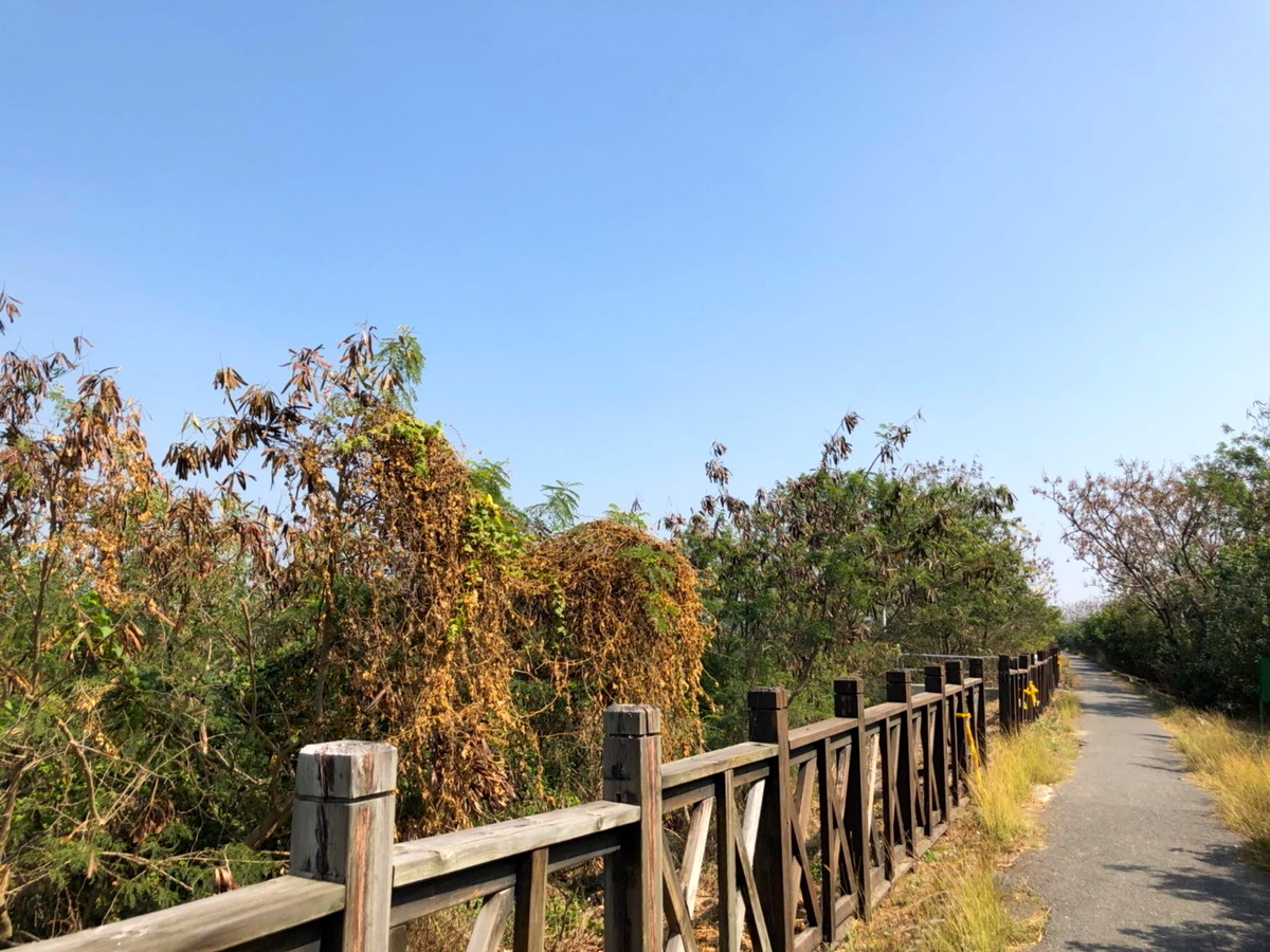 f:id:tabi-rinma:20190712184753j:plain