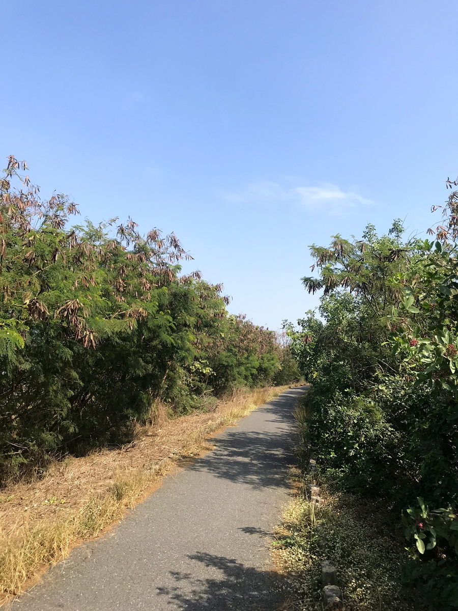f:id:tabi-rinma:20190712184929j:plain
