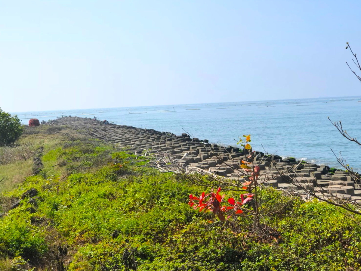 f:id:tabi-rinma:20190712185047j:plain
